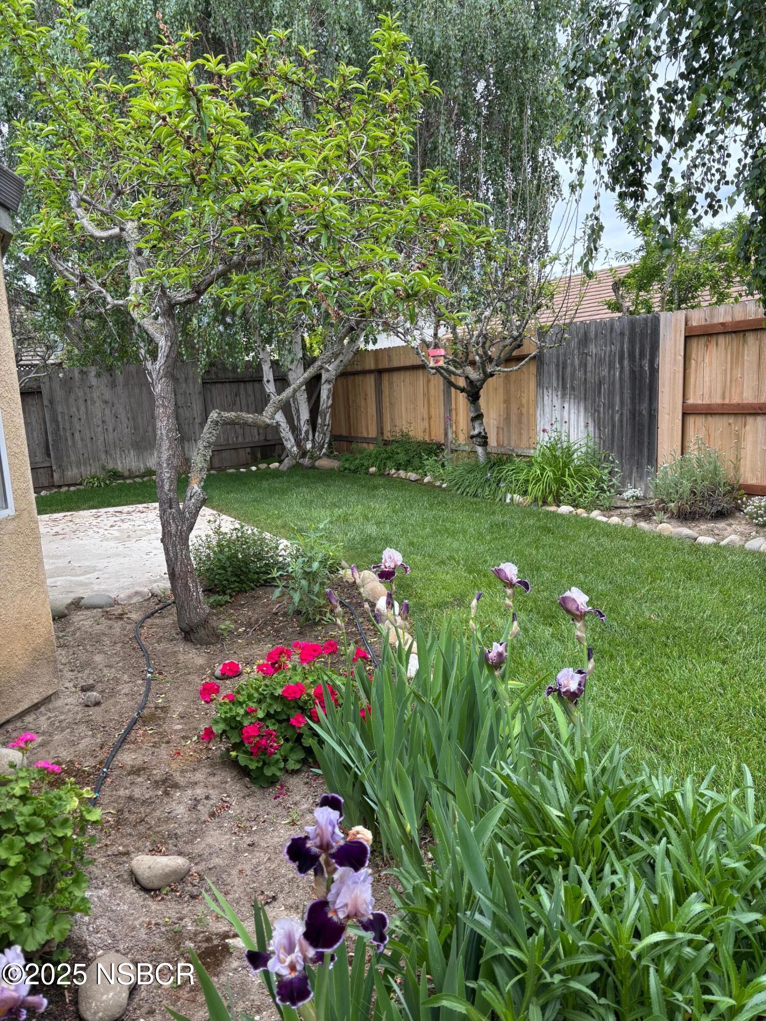 227 Valley Dairy Road Buellton, CA 93427 - Photo 3 of 10 a view of a garden with flowers and trees