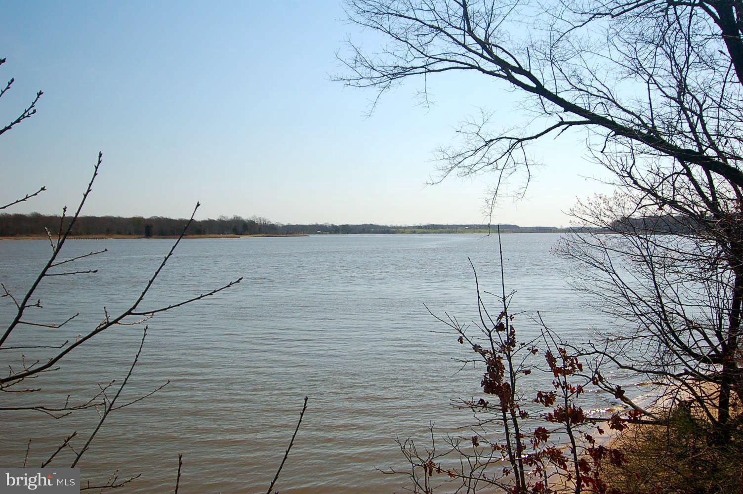 7637 Quaker Neck Road Chestertown, MD 21620 - Photo 14 of 30 View from the river bank