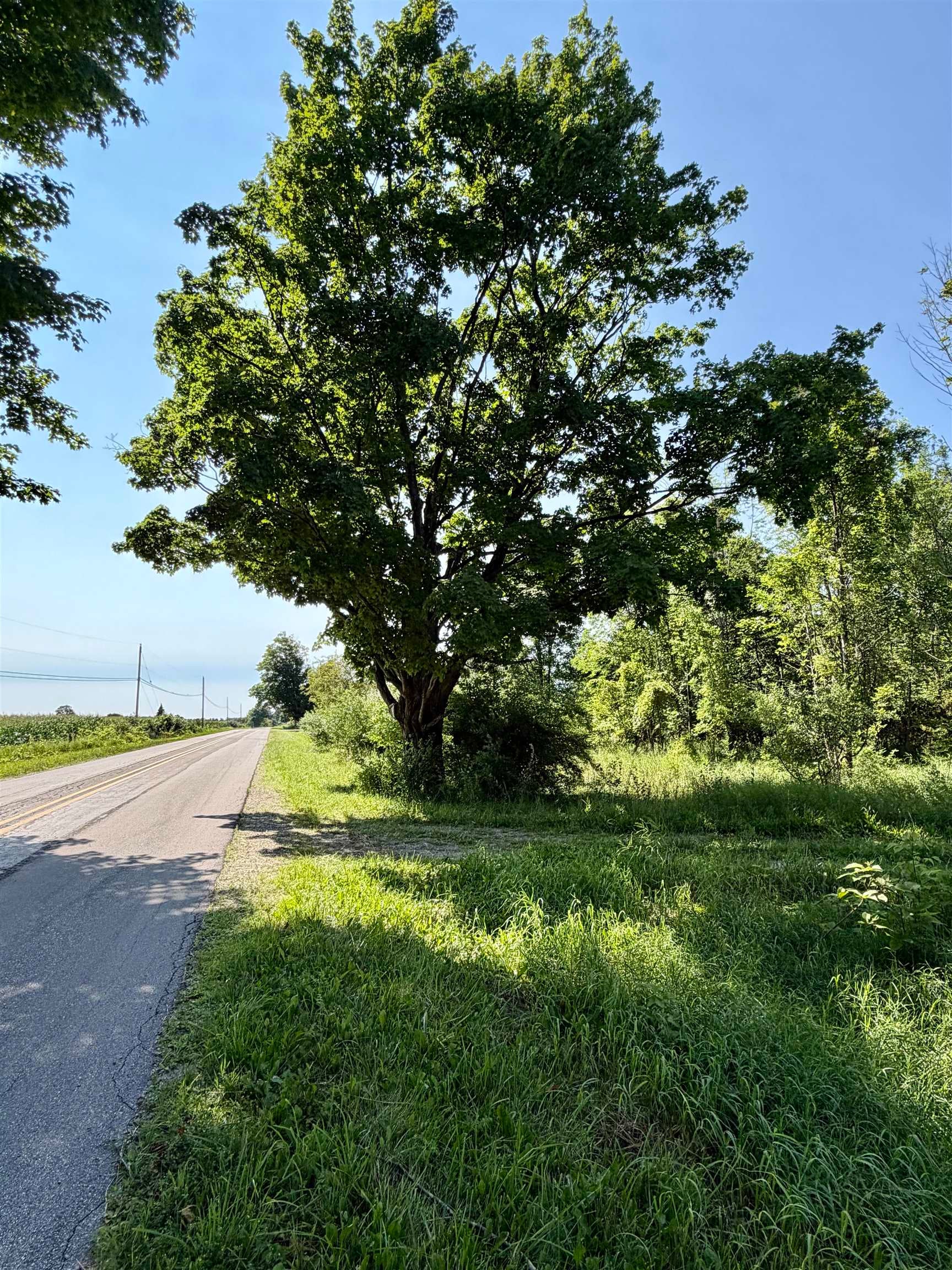 0 Gay Road, Unit LOT: B Williamsburg, MI 49690 - Photo 14 of 14 Gallery Image 14