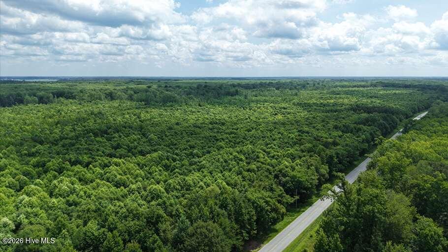 0 North River Road Camden, NC 27921 - Photo 48 of 50