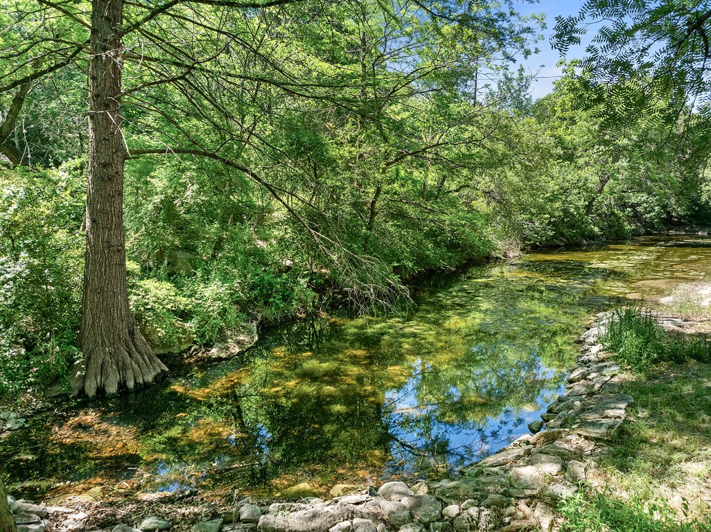a plant view in yard