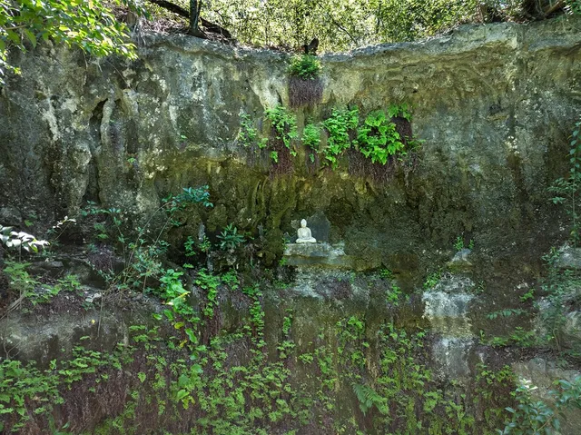 a view of a lake view