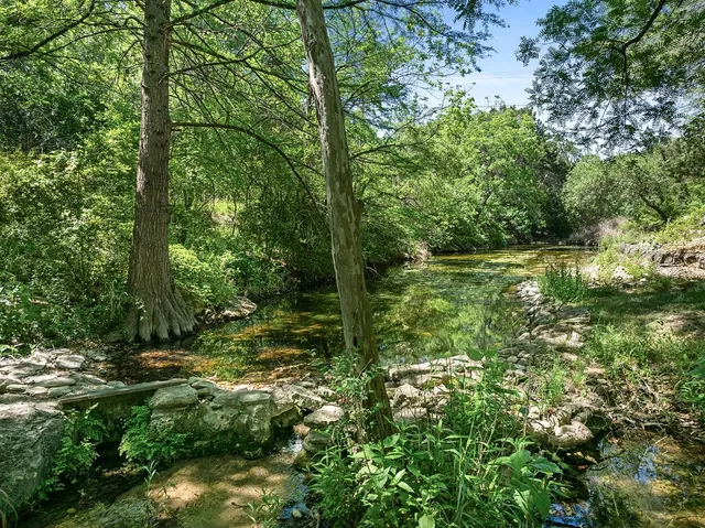 a view of a green field with lots of bushes