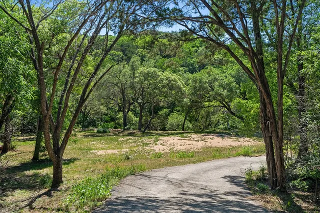 a view of a yard with a tree