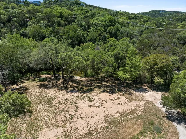 a view of a forest with trees in the background