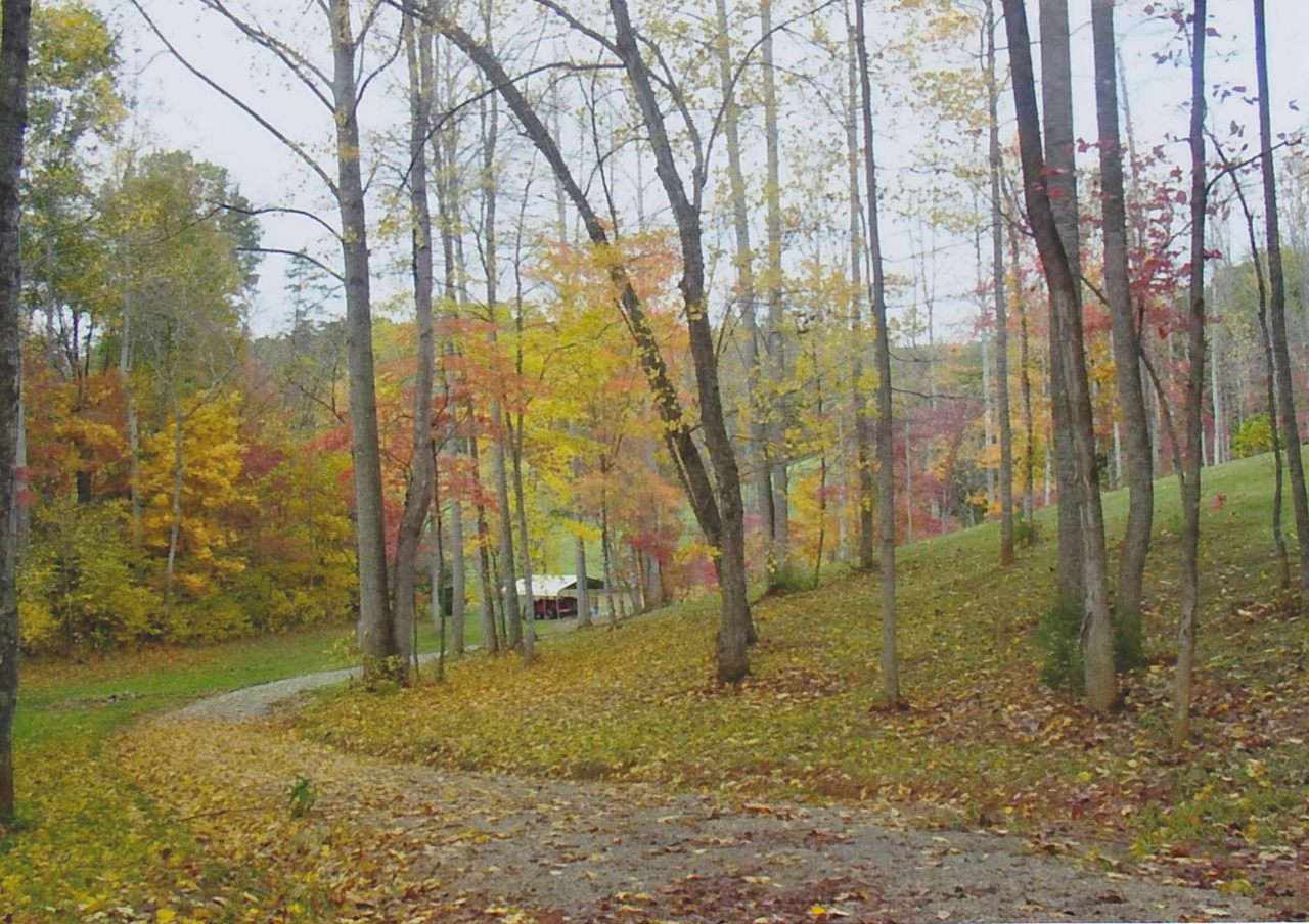 1129 Sample Road Wirtz, VA 24184 - Photo 36 of 40 Surrounded by 10+ beautiful acres