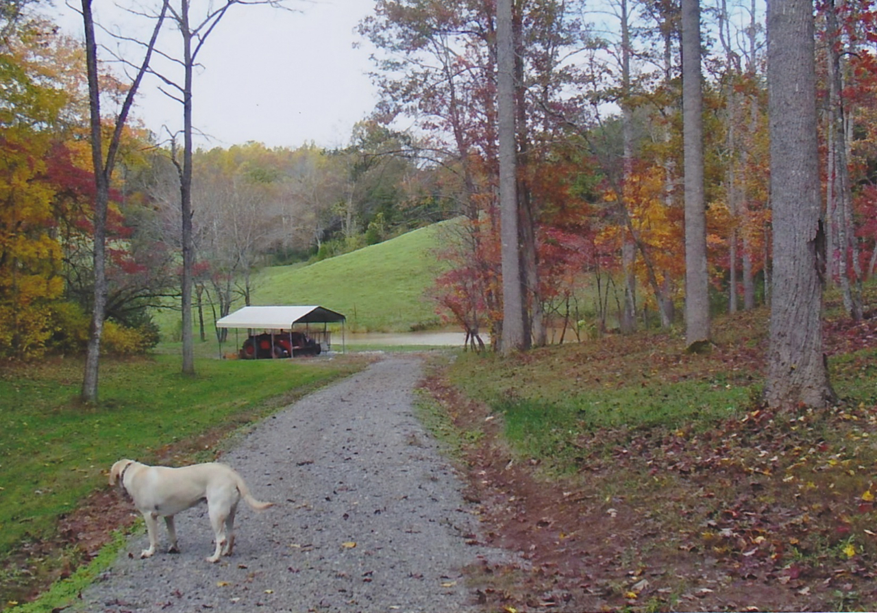 1129 Sample Road Wirtz, VA 24184 - Photo 37 of 40 Sweet Max!
