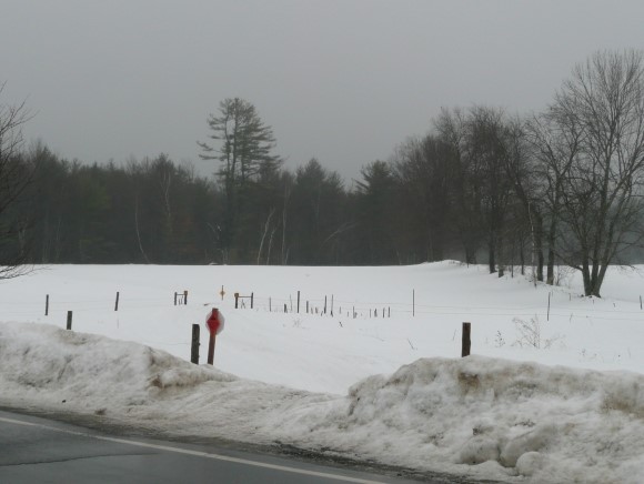 0 Catamount Road Northwood, NH 03261 - Photo 6 of 6
