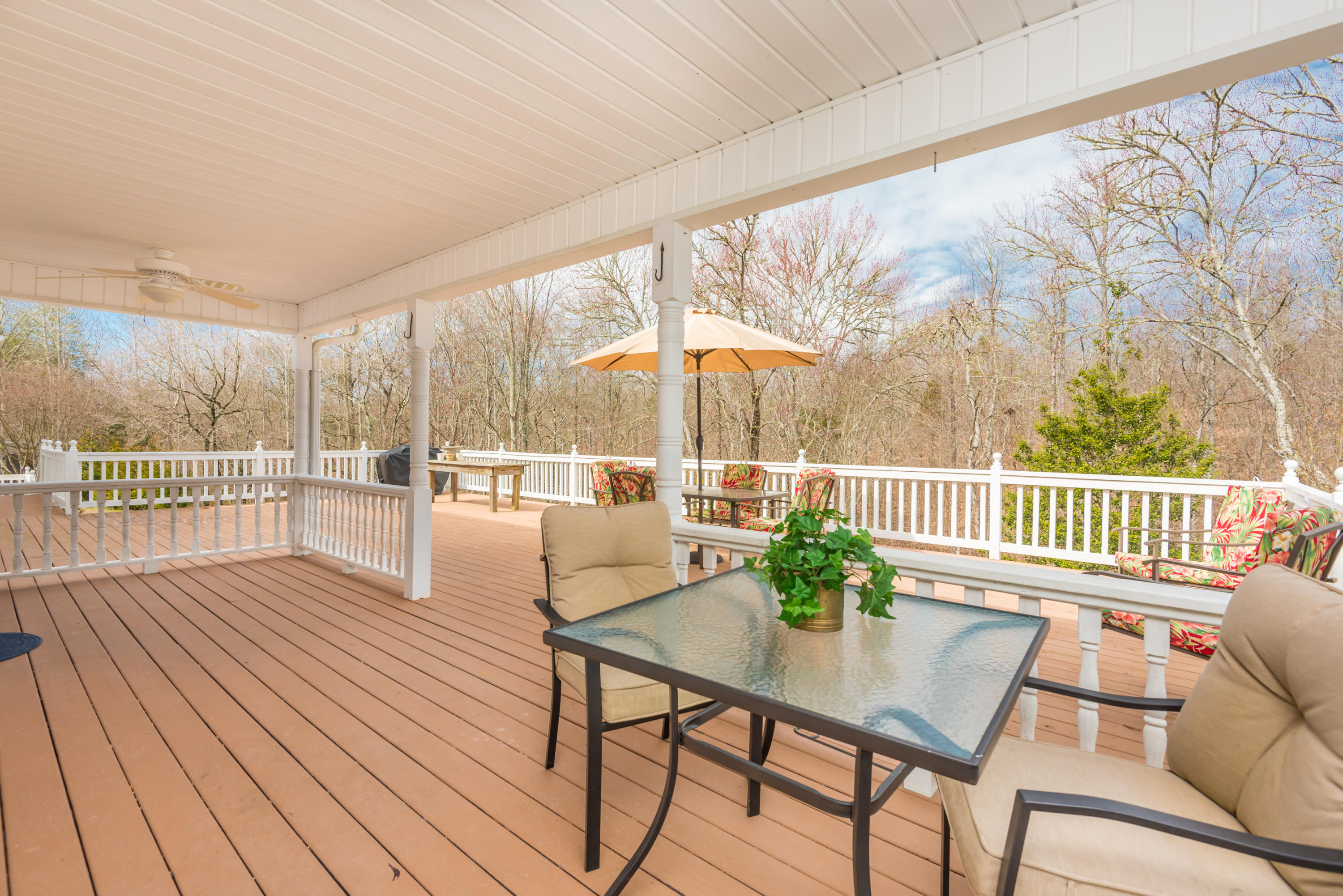 664 Batley Road Clinton, TN 37716 - Photo 30 of 40 664BatleyRd-37