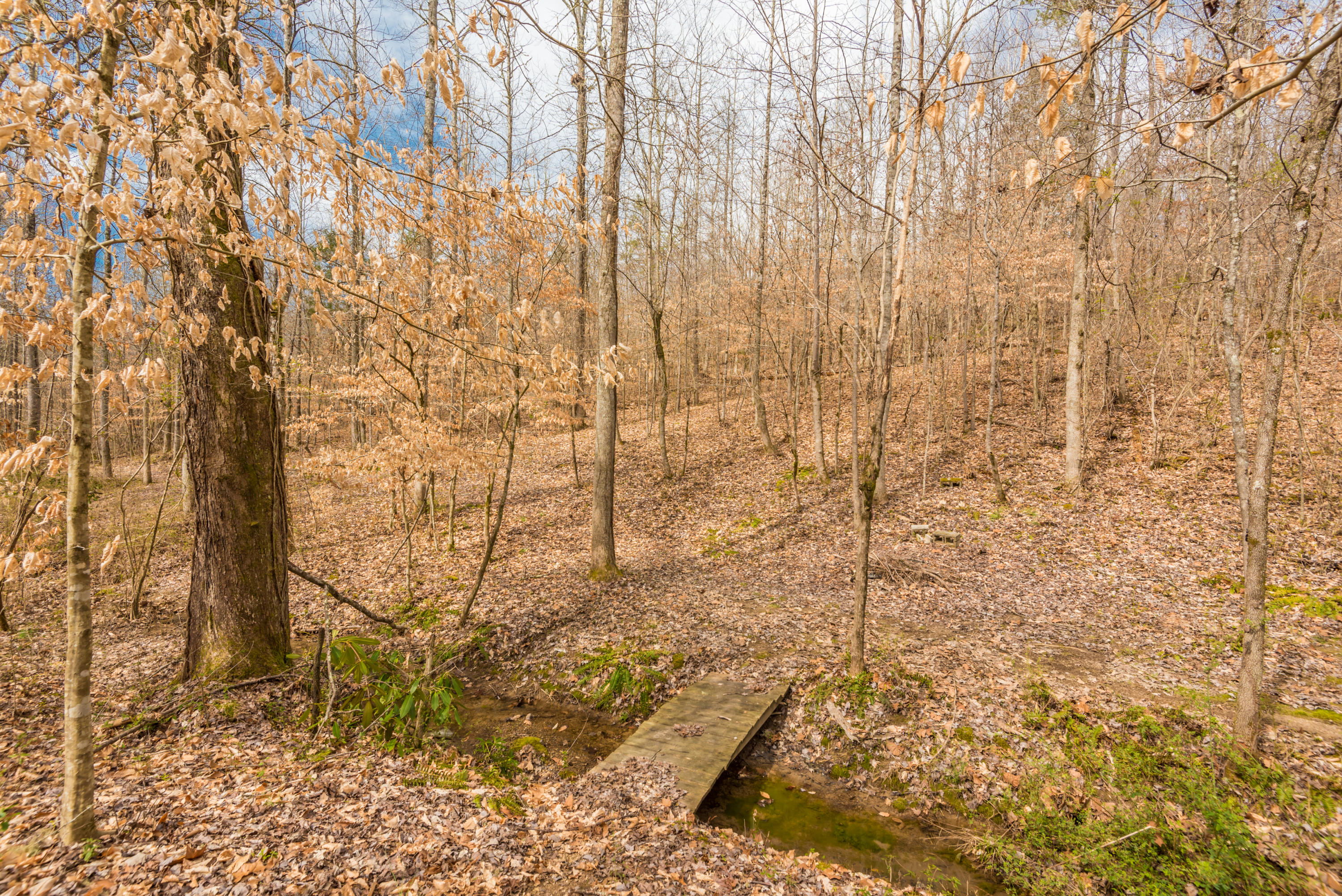 664 Batley Road Clinton, TN 37716 - Photo 37 of 40 664BatleyRd-47