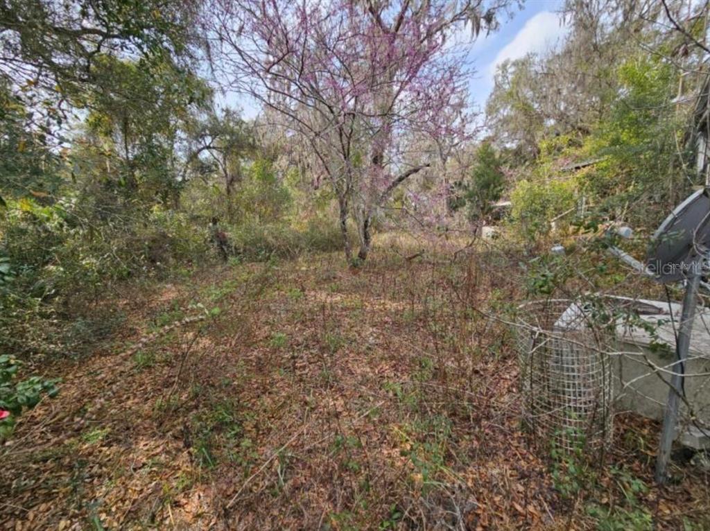 4210 Northeast 175th Street Road Citra, FL 32113 - Photo 4 of 7