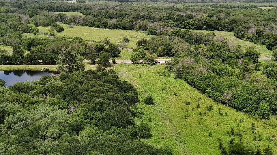 0 County Road 3255 Mount Calm, TX 76673 - Photo 3 of 12 a view of a forest with a houses