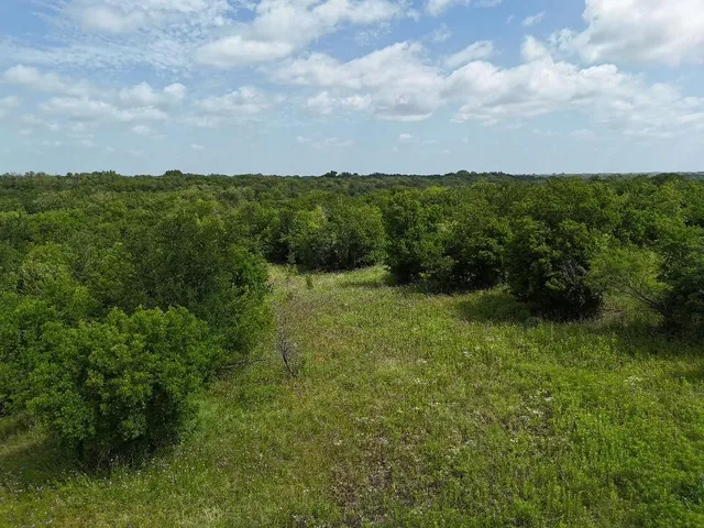 a view of a city with lush green forest
