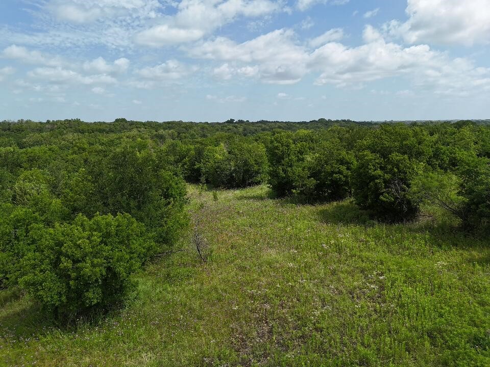 0 County Road 3255 Mount Calm, TX 76673 - Photo 4 of 12 a view of a city with lush green forest