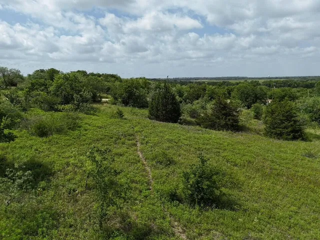 a view of a big yard with lots of green space