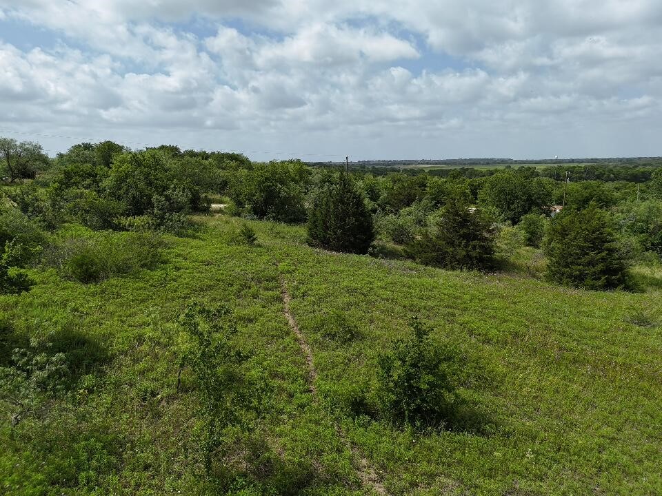 0 County Road 3255 Mount Calm, TX 76673 - Photo 5 of 12 a view of a big yard with lots of green space