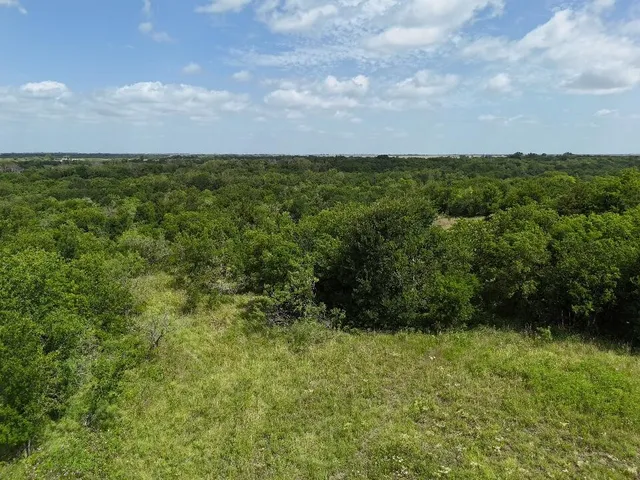 a view of a green field with lots of green space