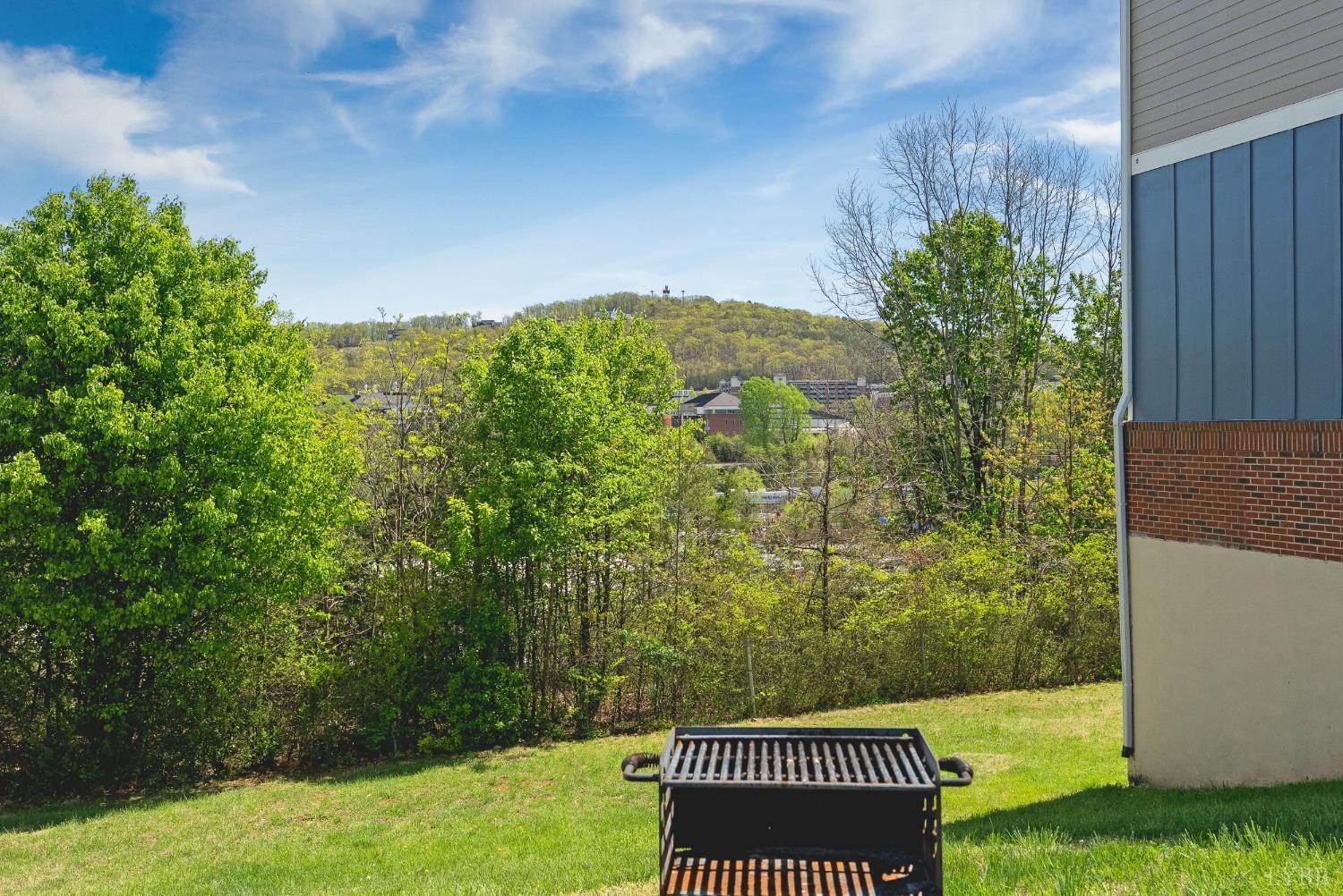 1600 Wards Ferry Road, Unit 703 Lynchburg, VA 24502 - Photo 37 of 49 Gallery Image 37