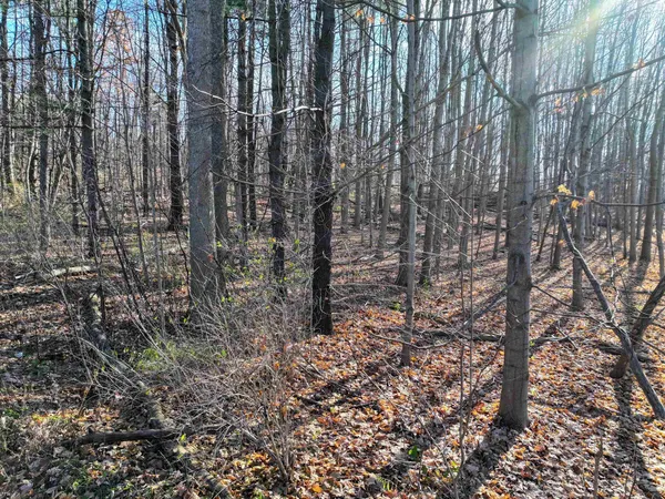 $220,000 | 7 South Middlebury Vt 05753, Middlebury, VT 05753