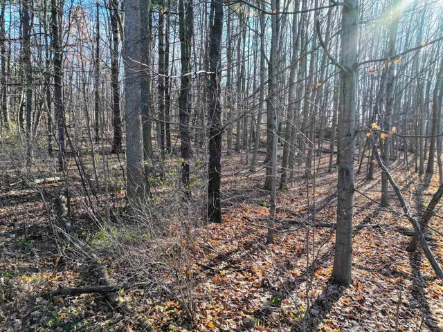 $220,000 | 7 South Middlebury Vt 05753, Middlebury, VT 05753