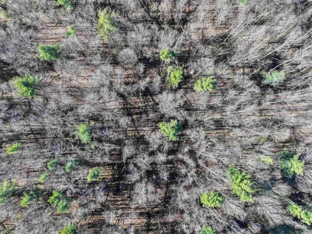 $220,000 | 7 South Middlebury Vt 05753, Middlebury, VT 05753