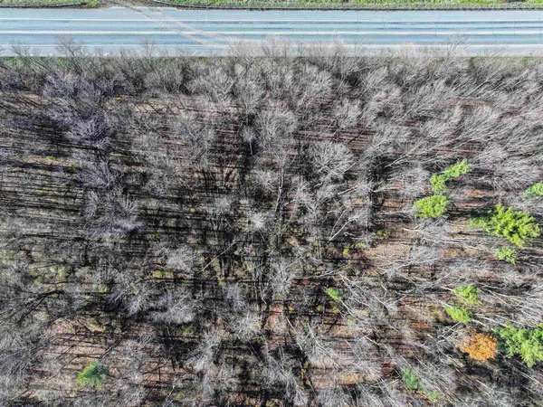 $220,000 | 7 South Middlebury Vt 05753, Middlebury, VT 05753