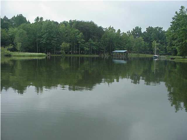 521 Coleman Road Decatur, TN 37322 - Photo 3 of 9 Additional Photo
