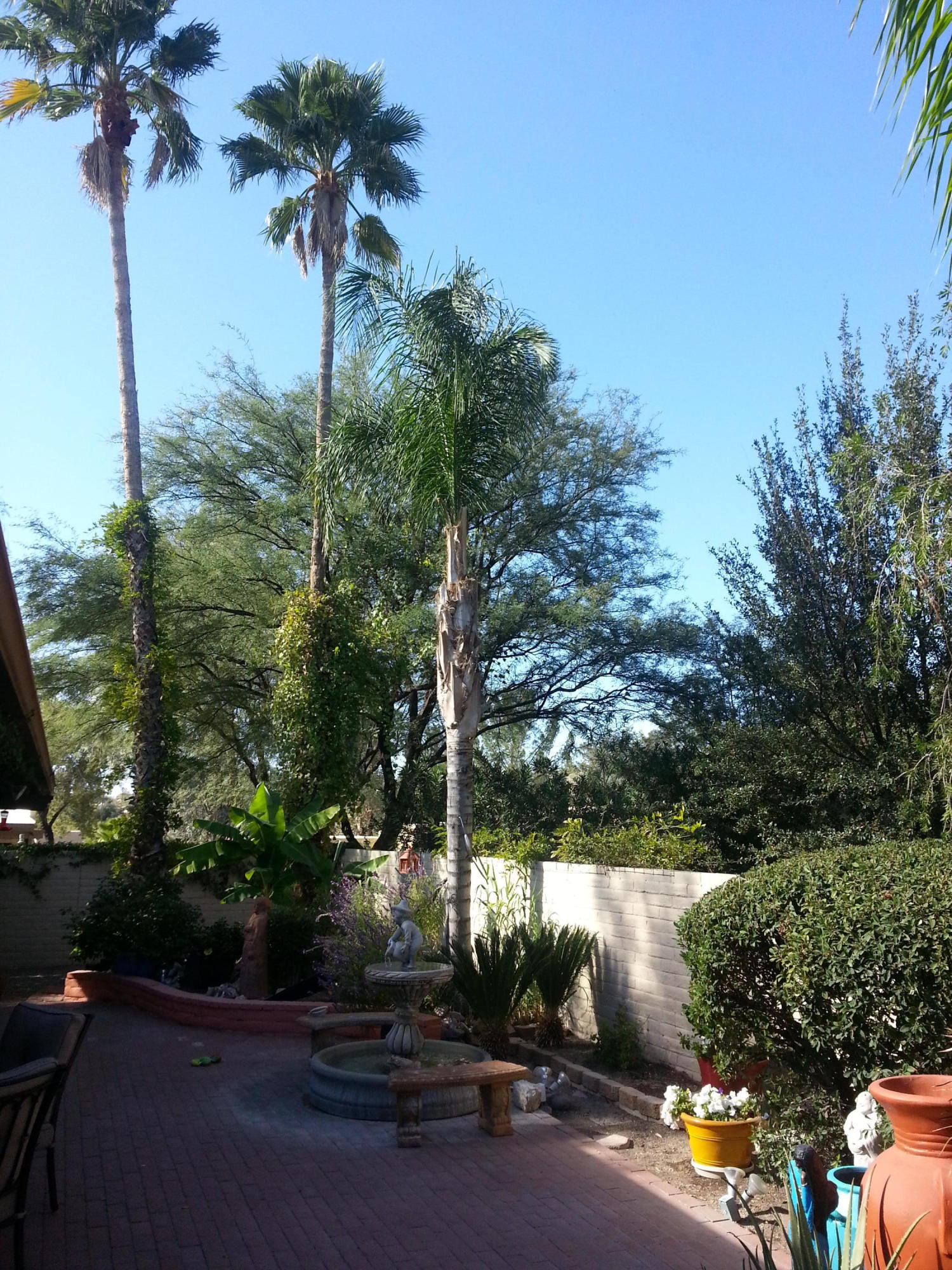 3680 North River Canyon Road Tucson, AZ 85750 - Photo 14 of 16