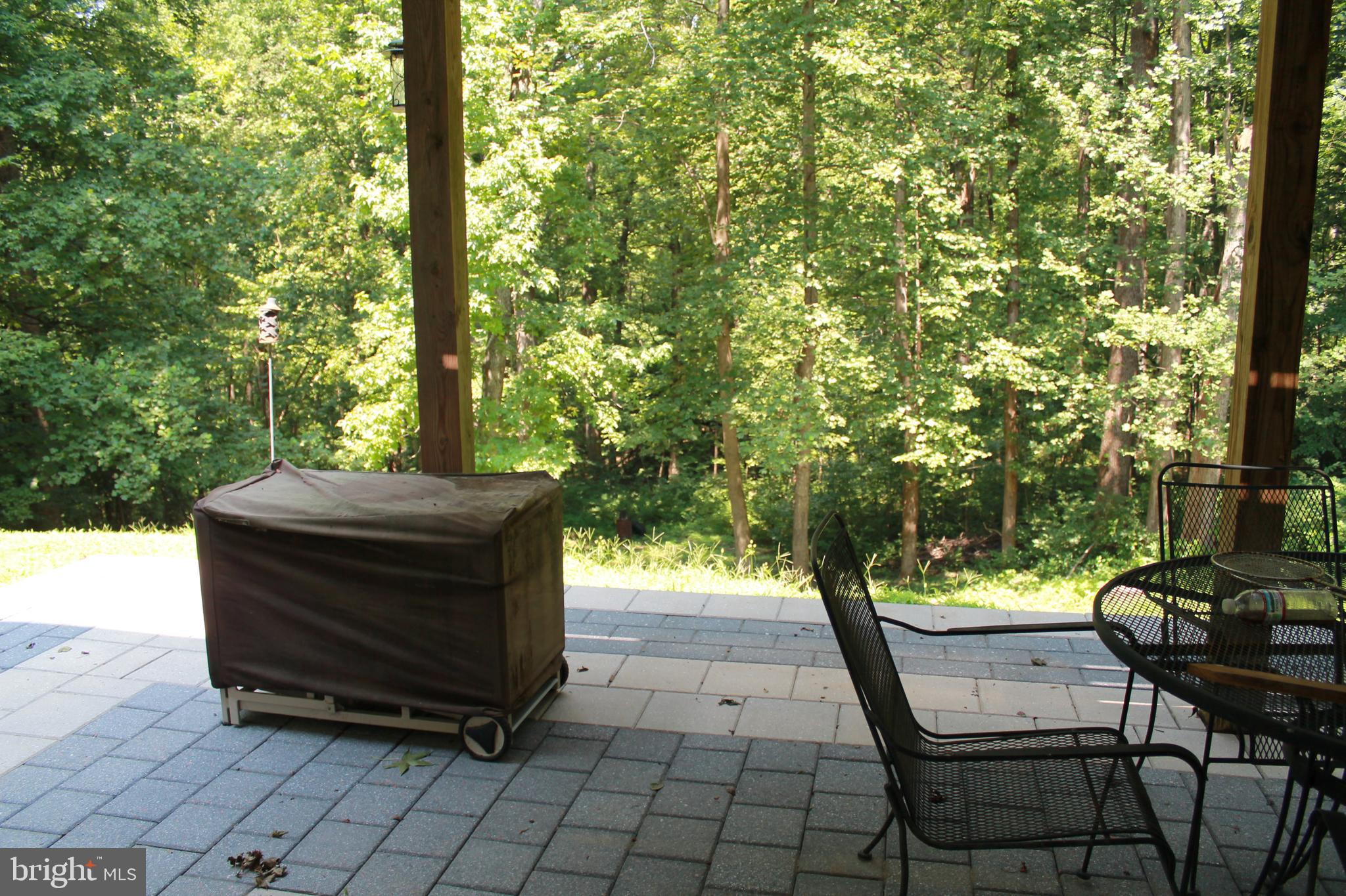 9391 Caledon Road King George, VA 22485 - Photo 53 of 54 patio under deck