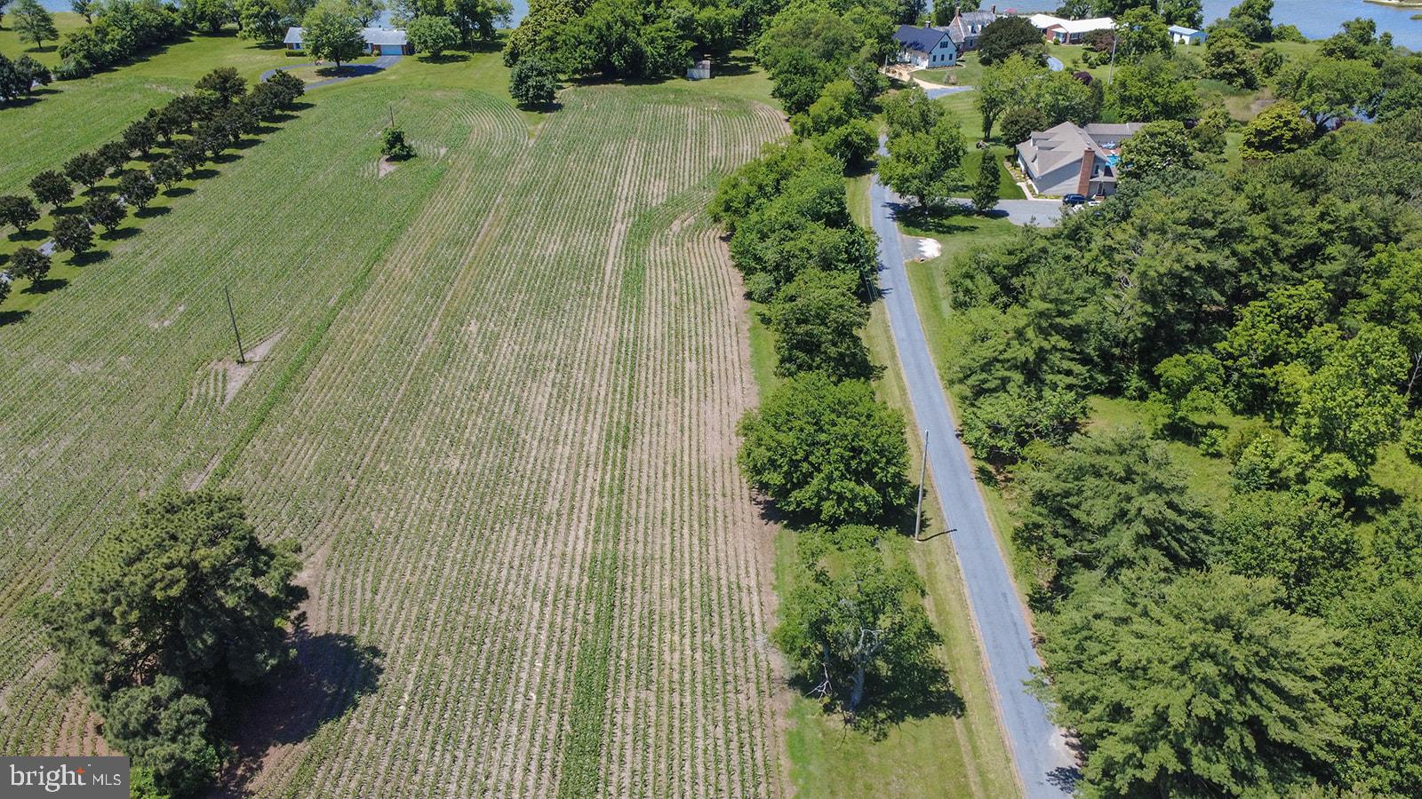 Curley Ridge, MD 20680 - Photo 7 of 12