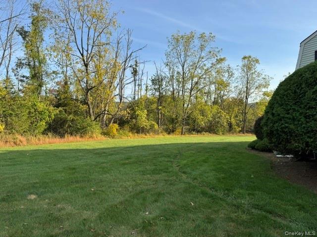 24 The Rise Warwick, NY 10990 - Photo 4 of 4 a view of a trees in a yard