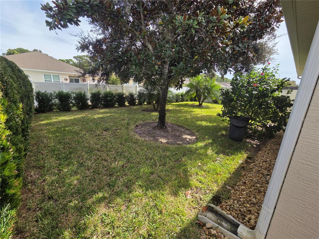 527 Safe Harbor Drive Edgewater, FL 32141 - Photo 27 of 33 a view of yard
