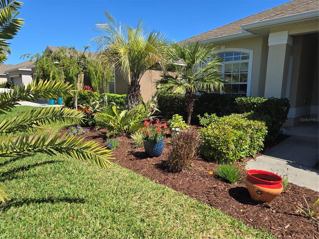 527 Safe Harbor Drive Edgewater, FL 32141 - Photo 3 of 33 a view of a backyard with plants and palm trees