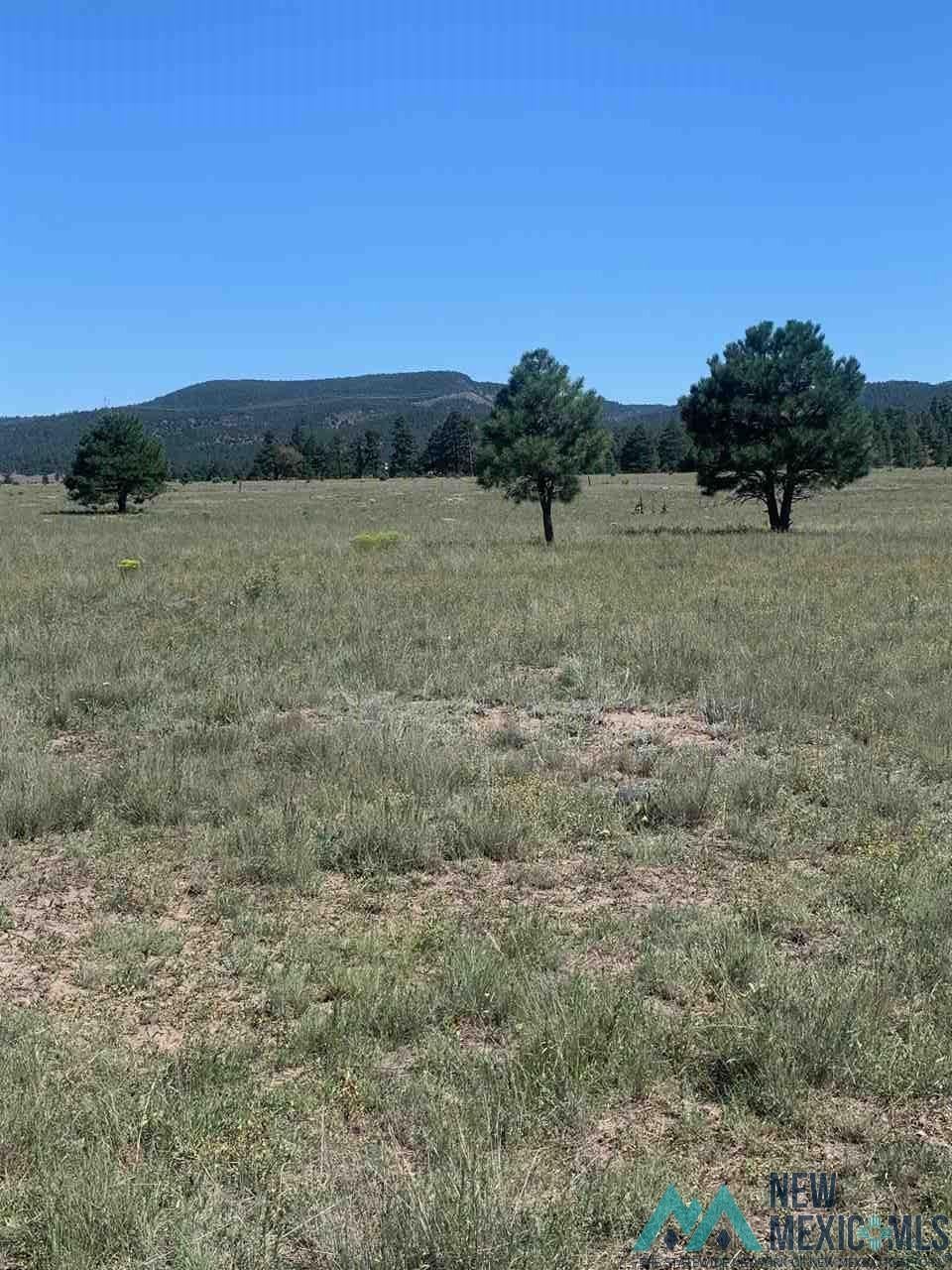 114 Old Sawmill Road Luna, NM 87824 - Photo 1 of 1
