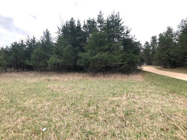 0 19 19 Mile Road Barryton, MI 49305 - Photo 2 of 4 2. Lot view 1