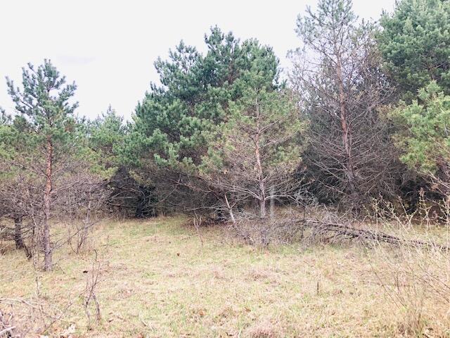 0 19 19 Mile Road Barryton, MI 49305 - Photo 4 of 4 4. Lot view 3
