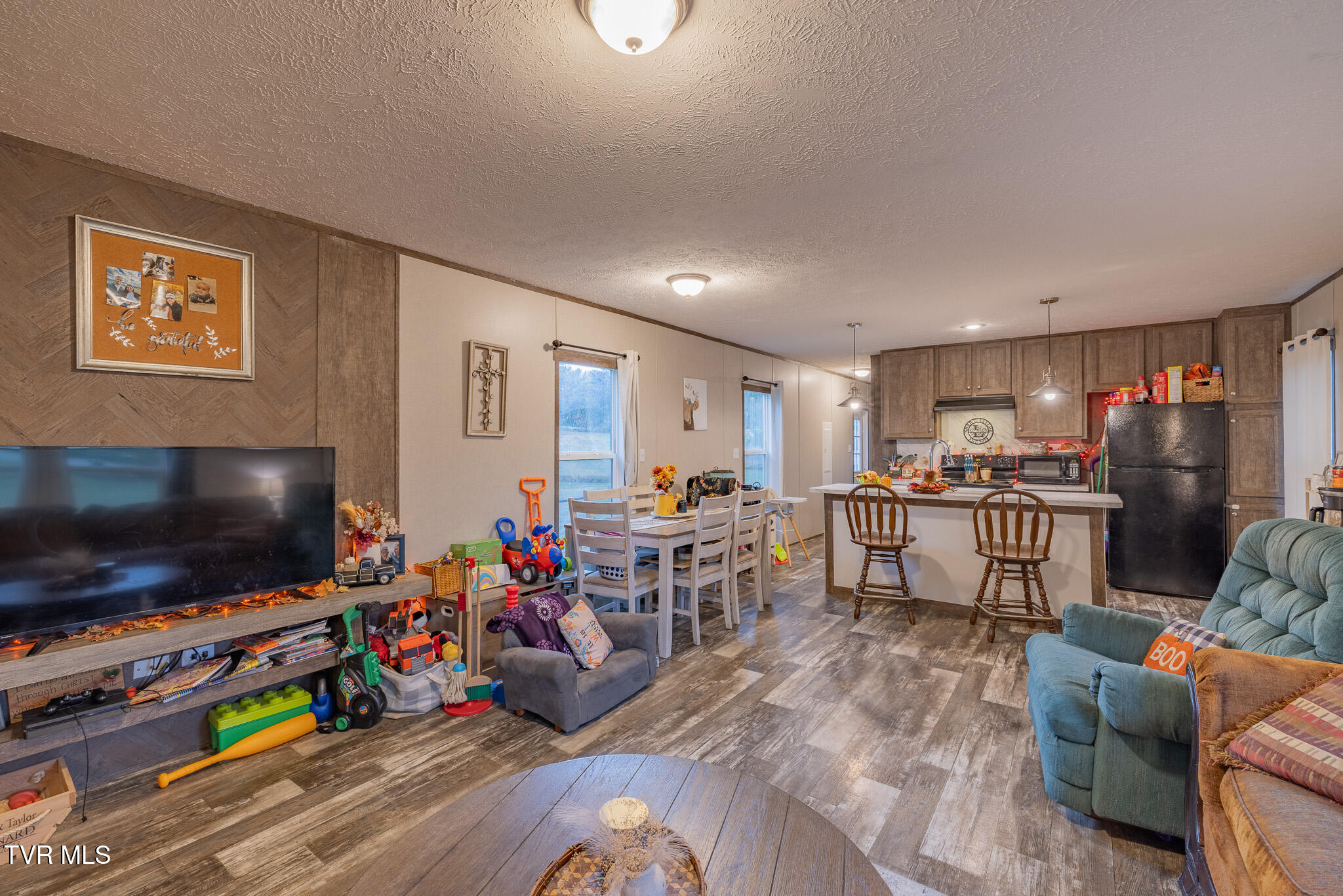 313 Rambling Road Jonesborough, TN 37659 - Photo 3 of 29 1R9A0502-HDR