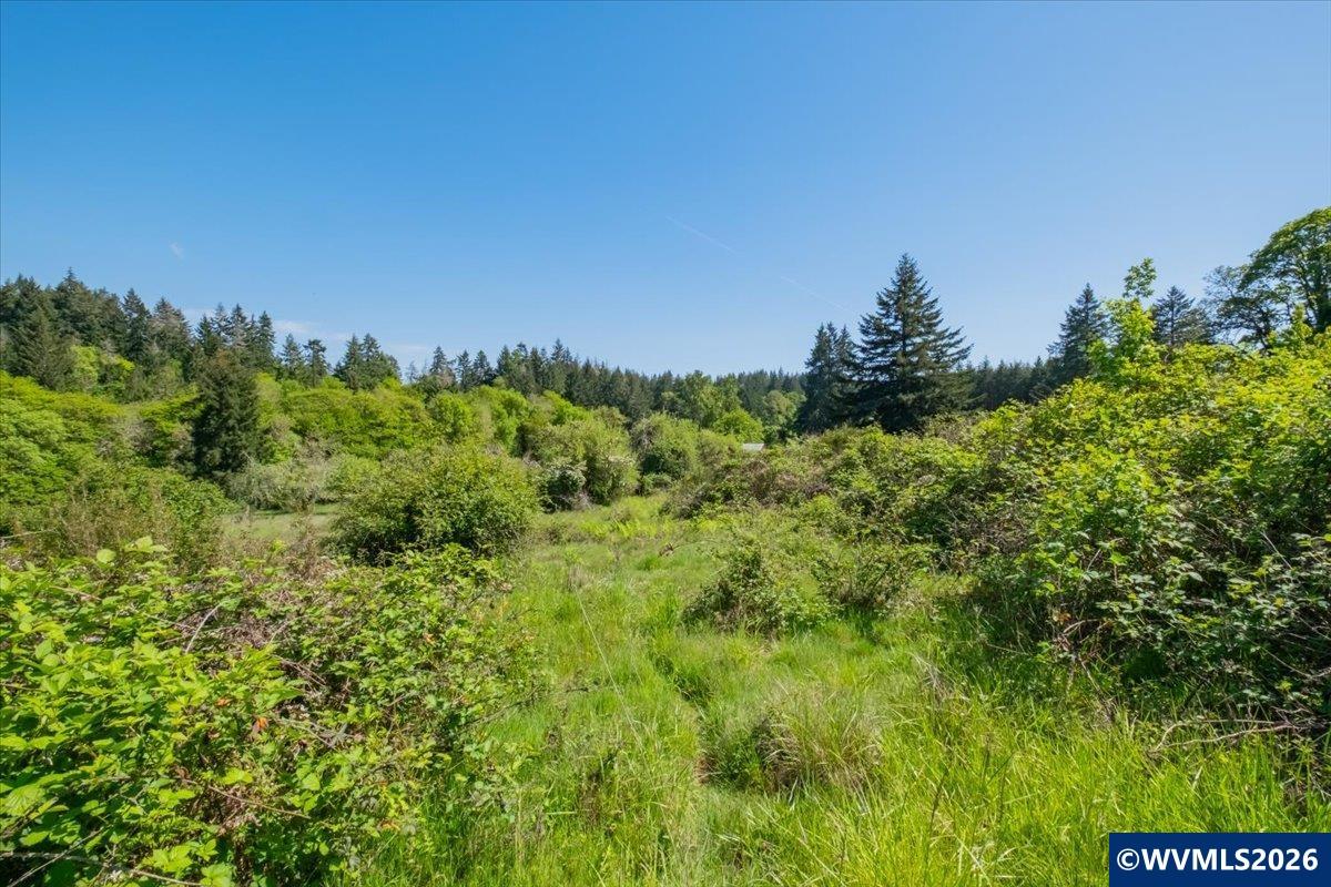 201560 Orchard Tract Road Monroe, OR 97456 - Photo 23 of 23