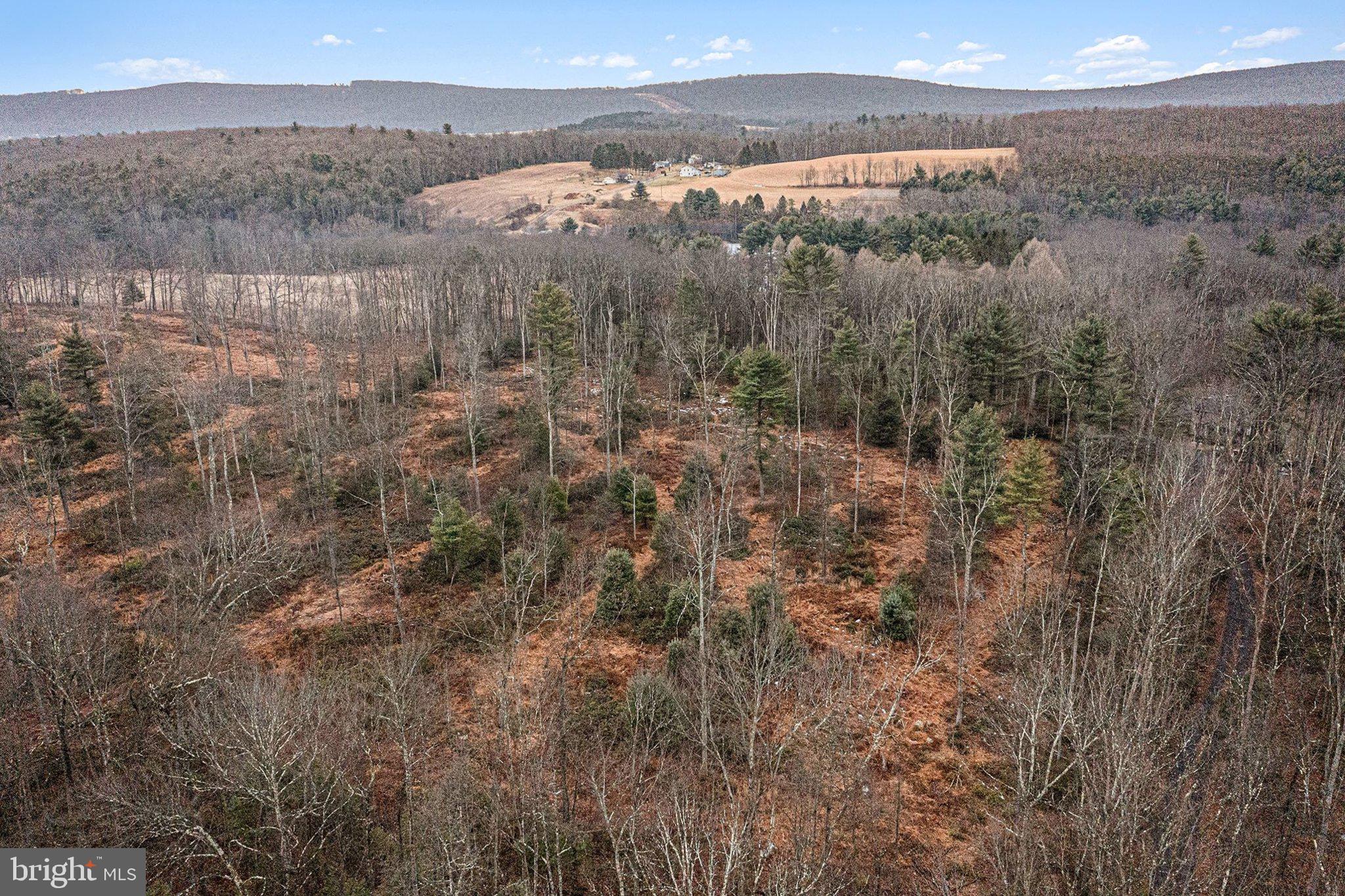 Lot 1 Back Road South Barnesville, PA 18214 - Photo 5 of 7