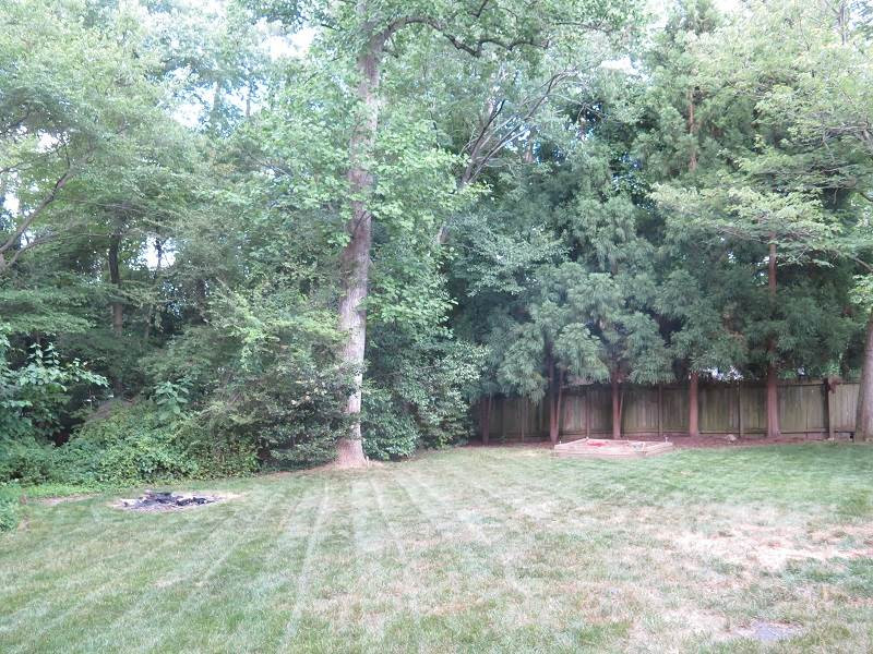 7617 Harps Mill Road Raleigh, NC 27615 - Photo 24 of 24 Photo 24