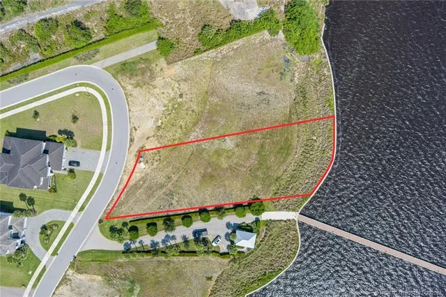 a view of a swimming pool with a potted plants