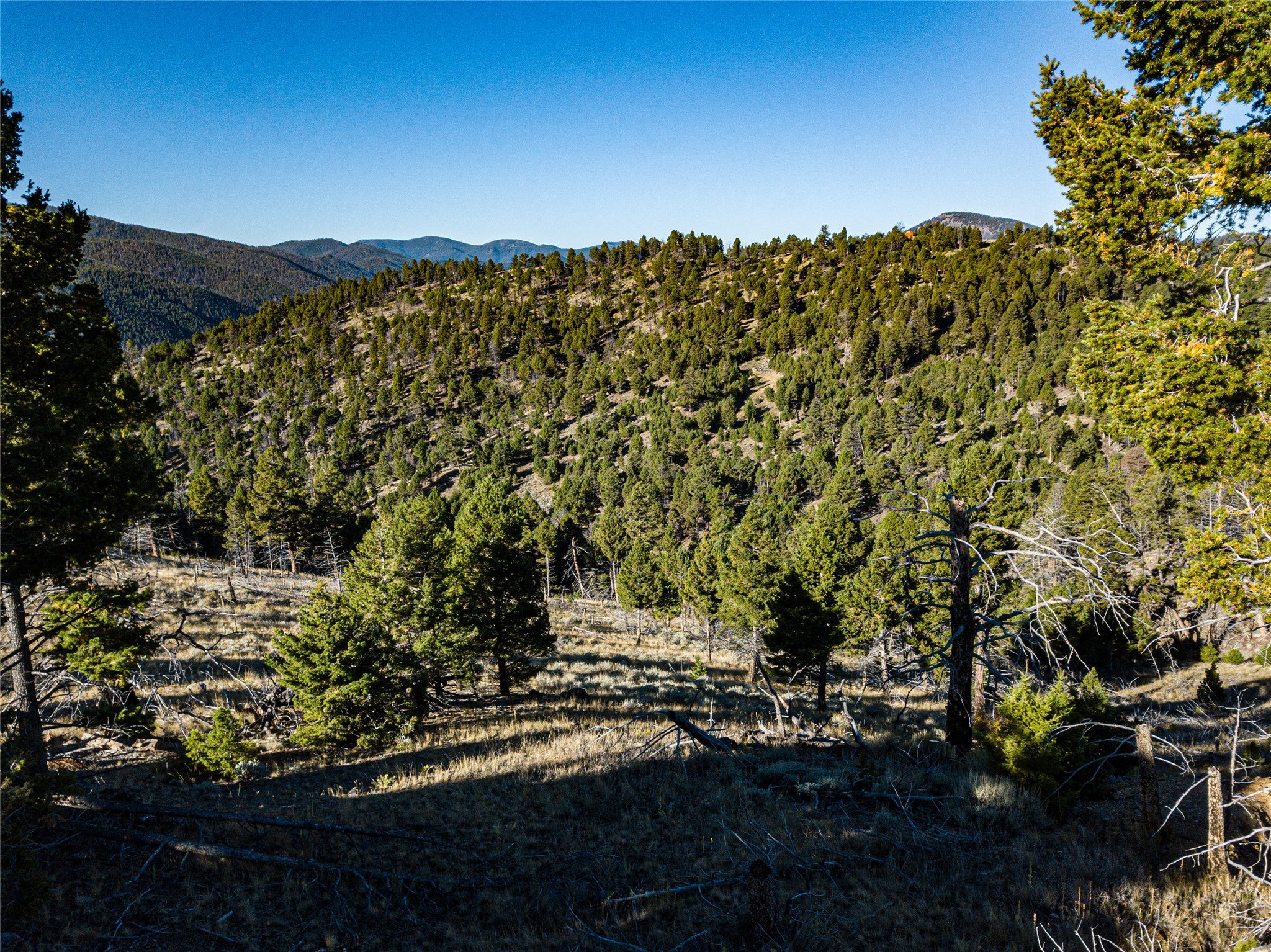 Tbd (40.1-ac) Tbd (40.1-ac) High Ore Road Boulder, MT 59632 - Photo 18 of 62 Gallery Image 18