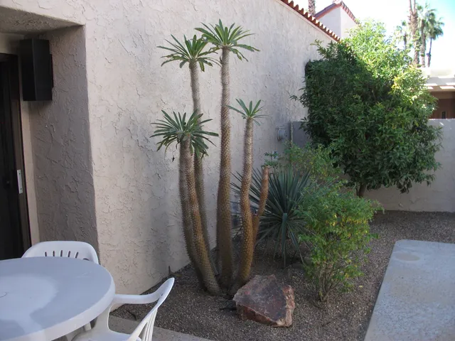 $4,500 | 107 Racquet Club Drive South, Rancho Mirage, CA 92270