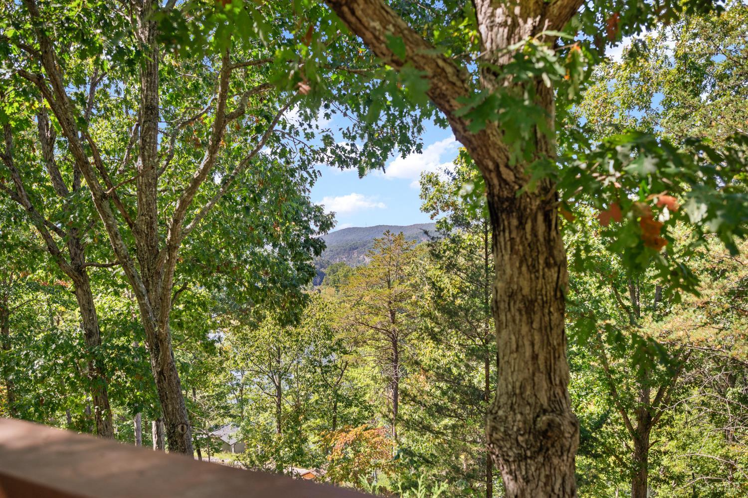 1451 Trellis Ridge Drive Lynch Station, VA 24571 - Photo 33 of 42 a view of a yard