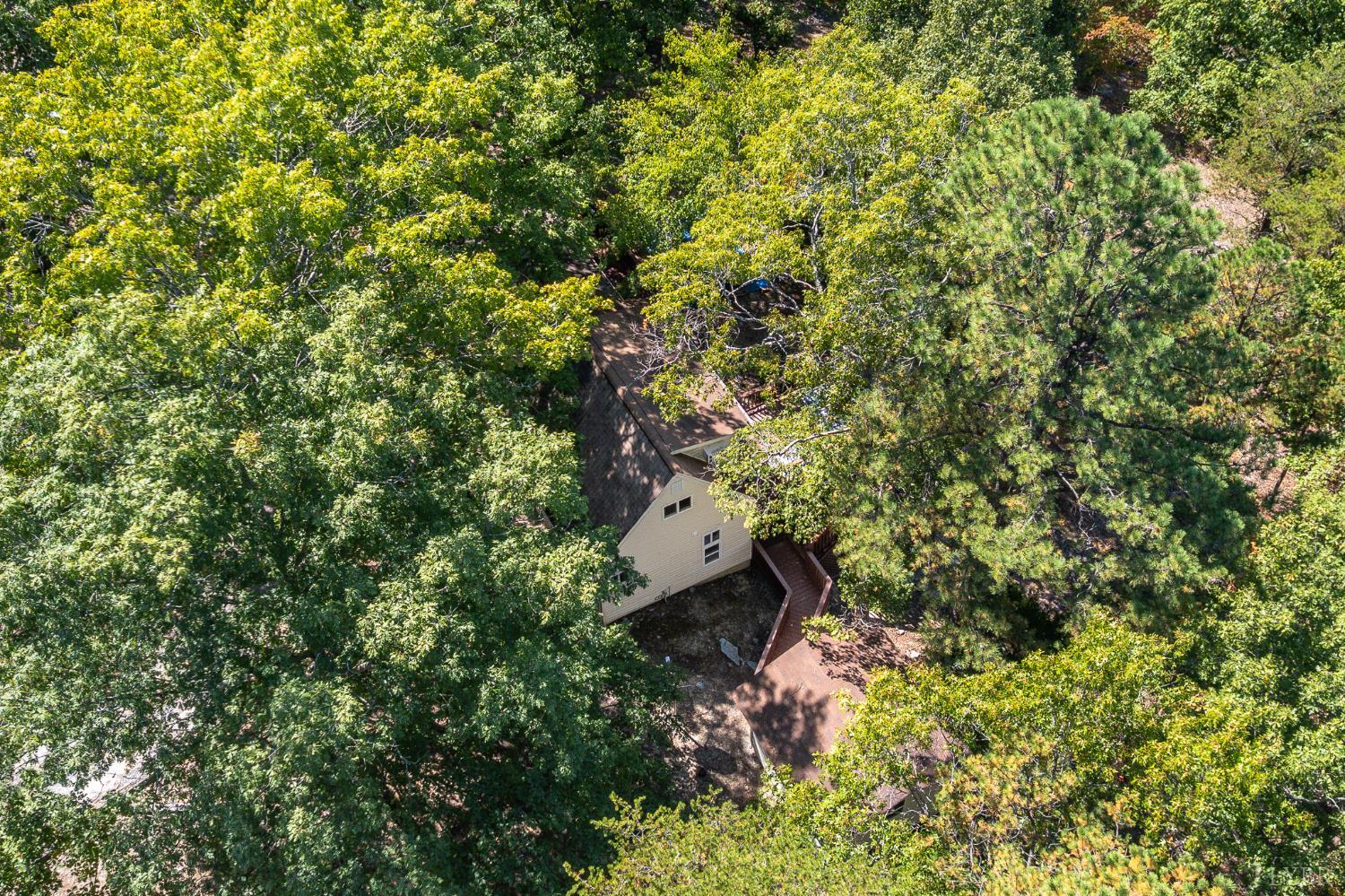 1451 Trellis Ridge Drive Lynch Station, VA 24571 - Photo 6 of 42 an aerial view of residential house with outdoor space and trees all around