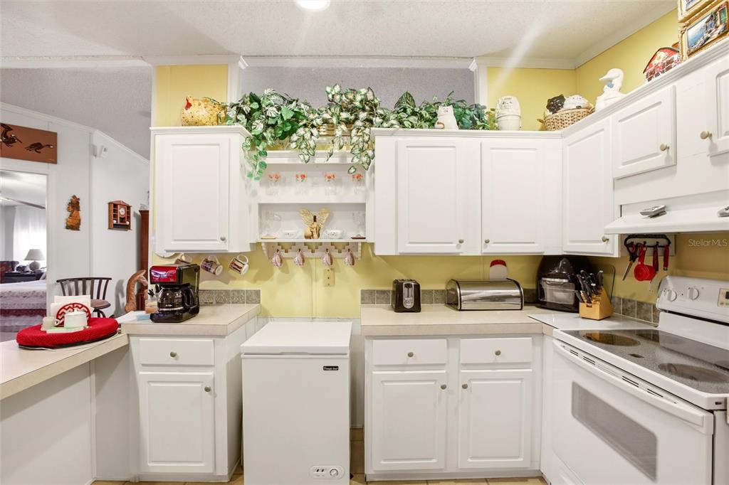 184 West Manatee Loop Punta Gorda, FL 33950 - Photo 10 of 33