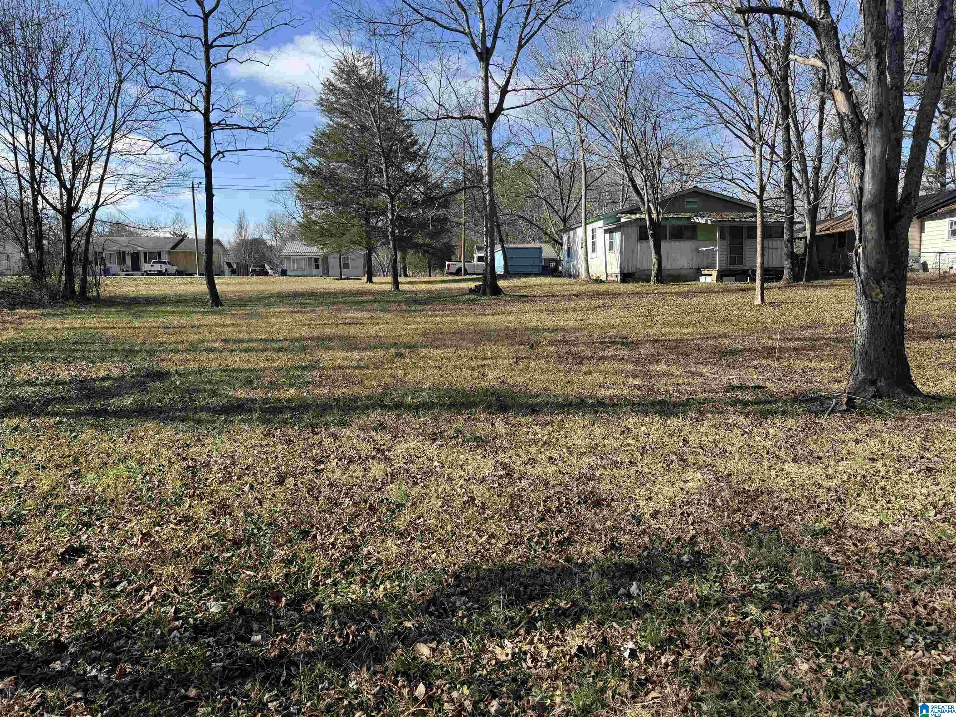609 Rothrock Avenue Attalla, AL 35954 - Photo 10 of 10