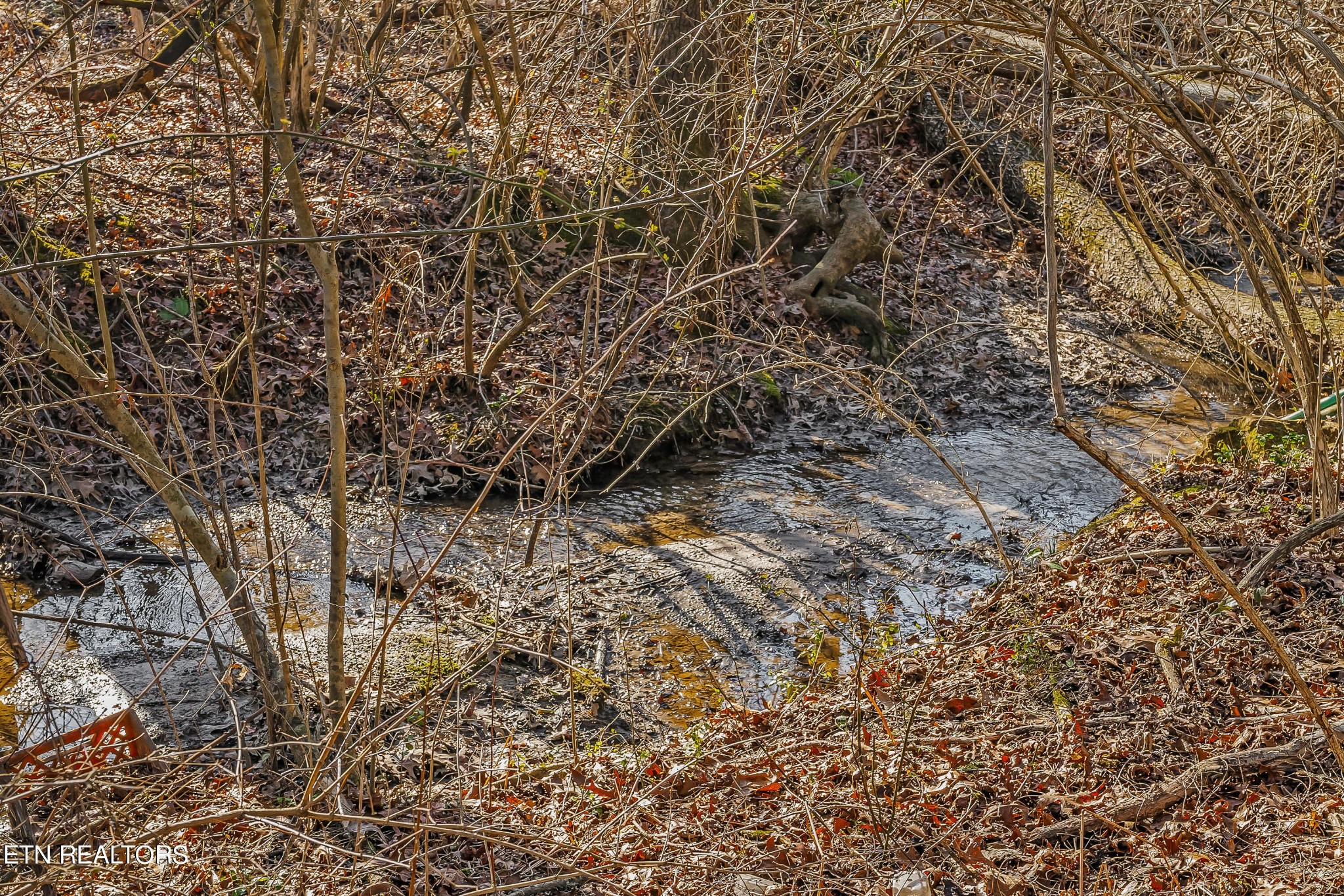 679 Cook Road Crossville, TN 38555 - Photo 40 of 41 Gallery Image 40