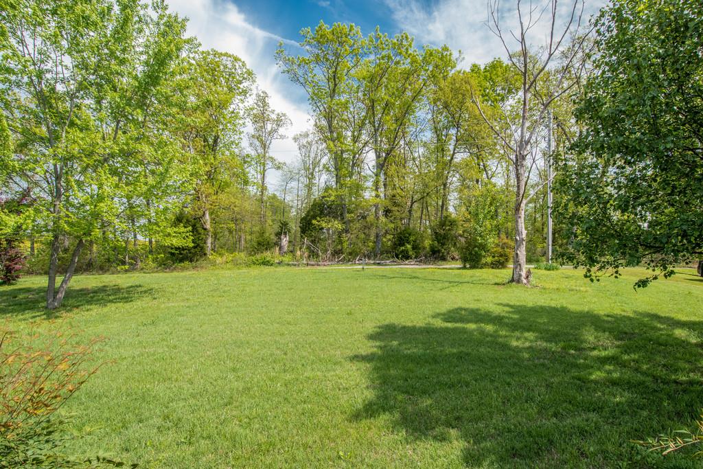 6815 Williams Road Cross Plains, TN 37049 - Photo 2 of 26 a view of field with trees