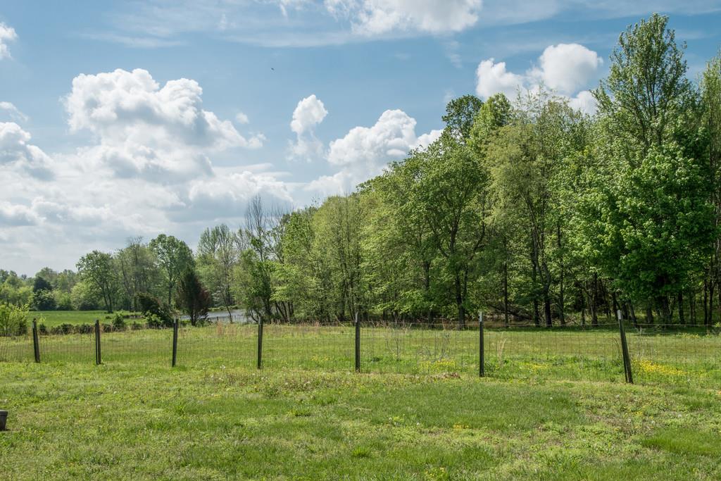 6815 Williams Road Cross Plains, TN 37049 - Photo 22 of 26 a green field with lots of trees in it